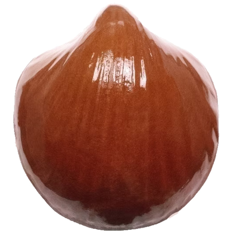 Szkliwo proszkowe 40-VTR102 Transparent błyszczący (2)