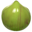 Szkliwo proszkowe 410906 Majowa zieleń (2)