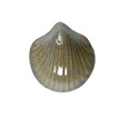 Szkliwo proszkowe 450905 Amazing Pearl - Niesamowity perłowy (1)