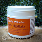 Terra sigillata - pomarańczowa (1)