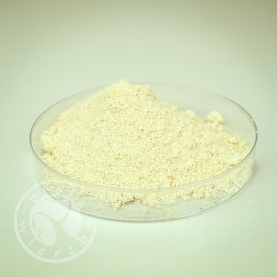 Węglan magnezu BSZ 4026 - dodatek do szkliwa (Magnesiumcarbonat)