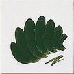 Farba dekoracyjna TC 6161 Zieleń chromowa (Chromgrün) (1)
