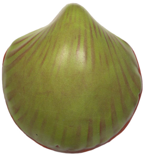 Szkliwo proszkowe 410232 Löwenzahn sd. matt - dmuchawiec półmat (2)