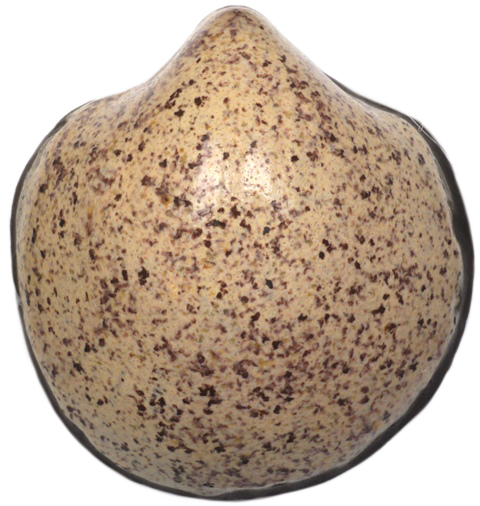 Szkliwo proszkowe 430421 Terra Beige (3)