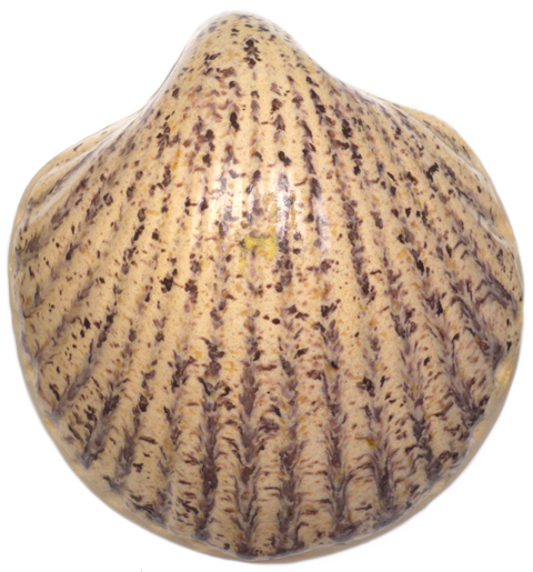Szkliwo proszkowe 430421 Terra Beige (2)