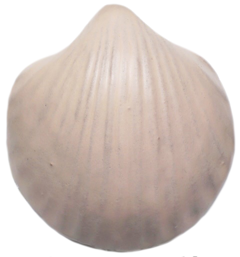 Szkliwo proszkowe 430429 Skóra mat (3)