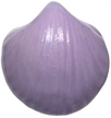 Szkliwo proszkowe 480912 Lawenda (1)