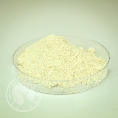 Bentonit BSZ 4004 - środek adsorbcyjny